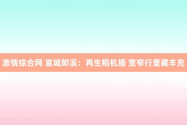 激情综合网 宣城郎溪：再生稻机插 宽窄行里藏丰充