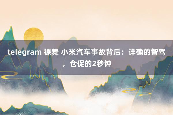 telegram 裸舞 小米汽车事故背后：详确的智驾，仓促的2秒钟